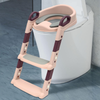 2-in-1 Toilet Trainer with Ladder 37-8
