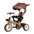 Arrow Tricycle with Canopy Hood - 311 - Nesh Kids Store
