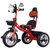 Arrow Tricycle With Leather Seat & Backrest - Nesh Kids Store