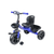 Kids Tricycle - 203 - Nesh Kids Store