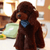Plush Soft Toys Puppy (30 cm) - Nesh Kids Store