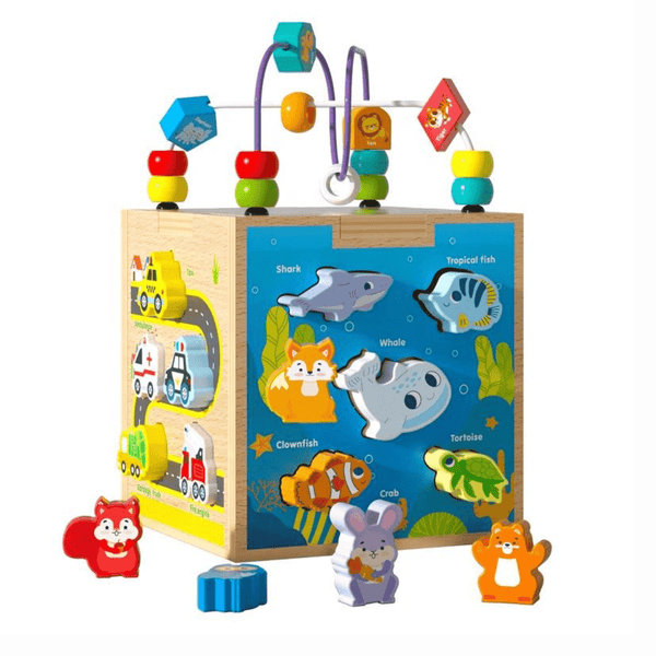 Shape Matching Wooden Bead Box – Early Learning Toy for Kids - Nesh Kids Store