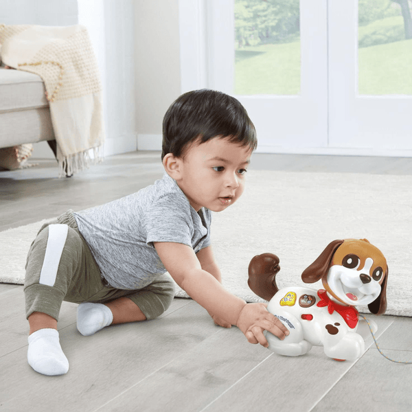 VTech Walk and Woof Puppy - Nesh Kids Store
