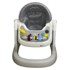 2-in-1 Infant & Baby Activity Walker – Seated or Walk-Behind - Nesh Kids Store
