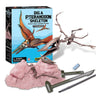 4M KidzLabs Dig a Dinosaur Skeleton - Pteranodon - Nesh Kids Store