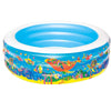 Bestway Swimming Pool (NT-307) - Nesh Kids Store