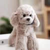 Plush Soft Toys Puppy (30 cm) - Nesh Kids Store