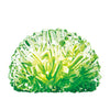 4M Glow Crystal Growing - Nesh Kids Store