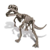 4M KidzLabs Dig a Dinosaur Skeleton - Tyrannosaurus Rex - Nesh Kids Store