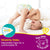 Pampers Taped Diapers Medium 62 Pcs (6-11 KG) - Nesh Kids Store