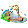 Piano Fitness Activity Gym - Nesh Kids Store