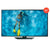 TCL LED TV Full HD 40' - Nesh Kids Store
