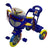Tricycle (with Music) 802 - Nesh Kids Store